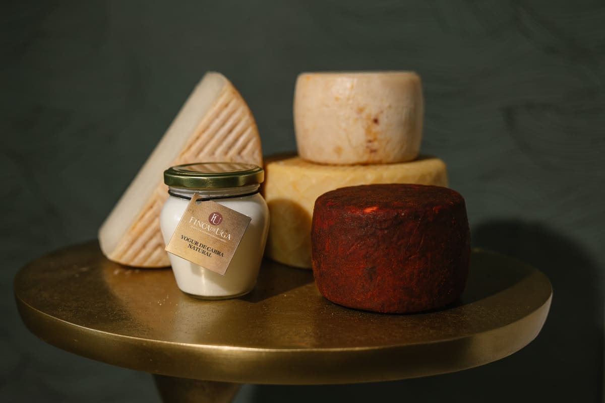 Images from Grupo Rosa Hotels